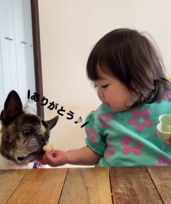 「はい、どーぞ」