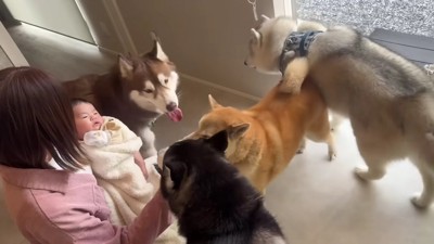 初めての赤ちゃん♡