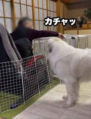 扉を閉めたおじいちゃん