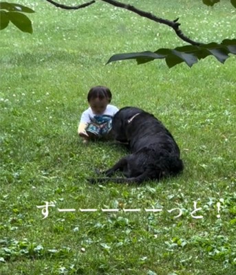 赤ちゃんと黒い犬2