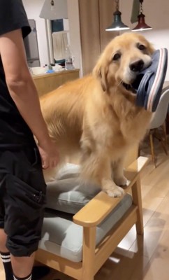 止まらない喜び