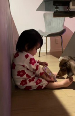 何かをブイちゃんに渡している