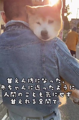 抱っこしたり、甘えたり…