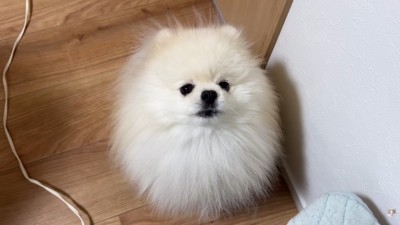 逆ギレ中の姿も可愛い(笑)