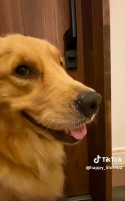 笑顔のハッピーちゃん