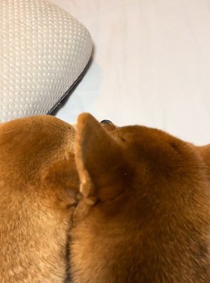 不穏な声が…