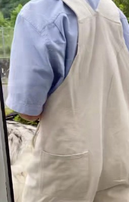 大型犬をお散歩するのは…