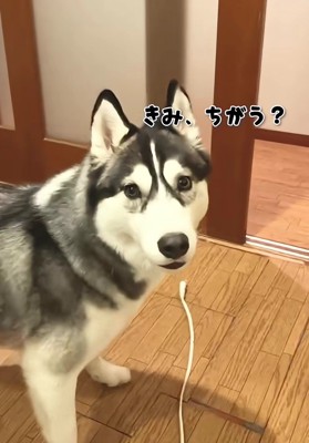 途中で人違いするも…