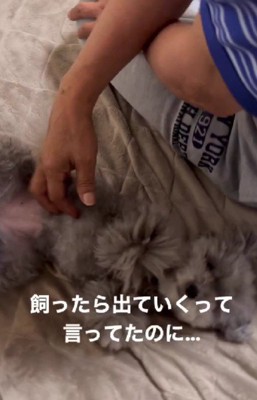 「犬を飼ったら家を出ていく」