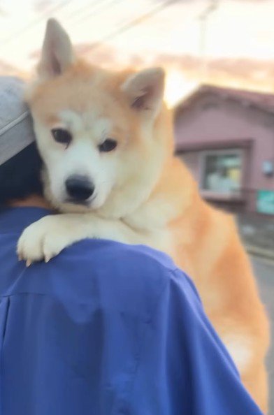 幸せなひとときです