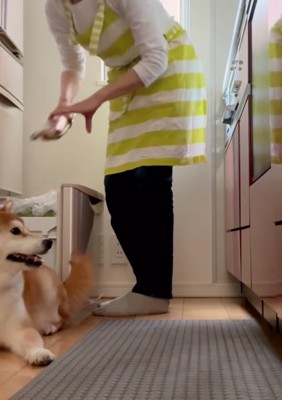 野菜を取り出す