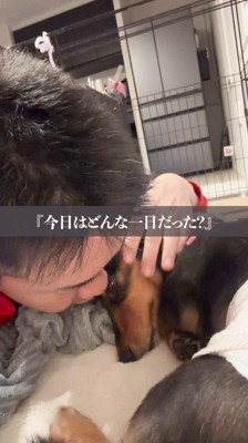 犬に優しく話しかける飼い主