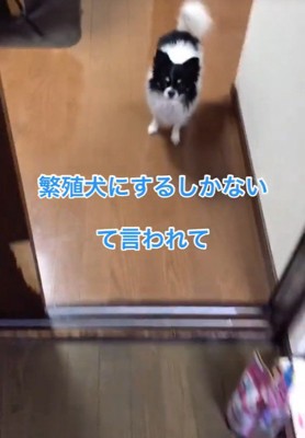 ちーちゃんとの出会い6