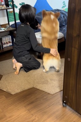 ベッドへジャンプ!