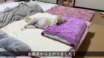 お風呂から出たら…