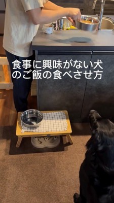 犬のごはんが入った器を持つ飼い主