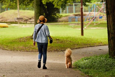 散歩中の女性と犬