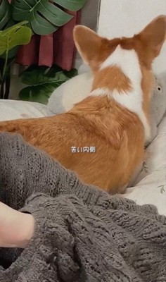 歌の最中にイタズラするうたちゃん3