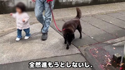 イトちゃんのペースに合わせます