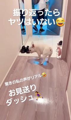 やまわきさんのお見送り5