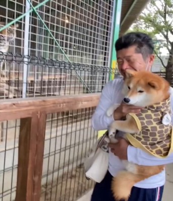 檻から離れる犬