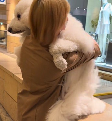 「もう歩きません…」