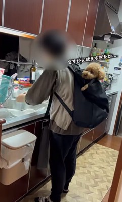 吠え過ぎたバッキーくん