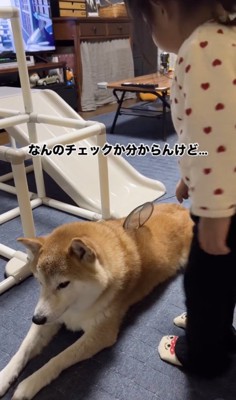 満遍なく