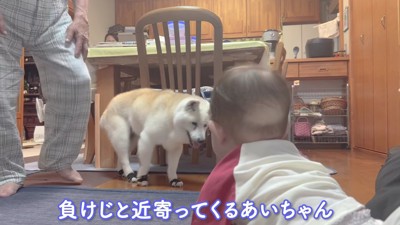 赤ちゃんのそばへ