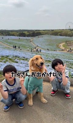 もなかちゃんとの1年間の軌跡9