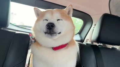 意識を保てずウトウト…