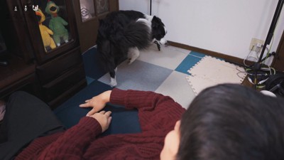 サッと離れてナデナデを拒否