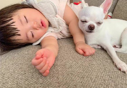 大きくなった娘さん