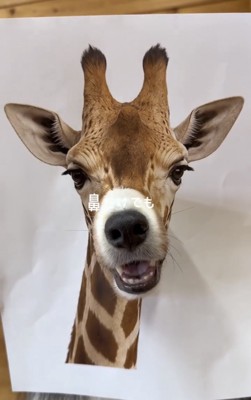 キリンの顔から鼻先を出す犬