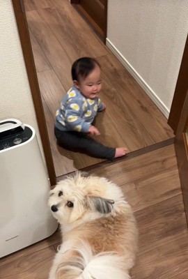 赤ちゃんを守る小太郎くん8