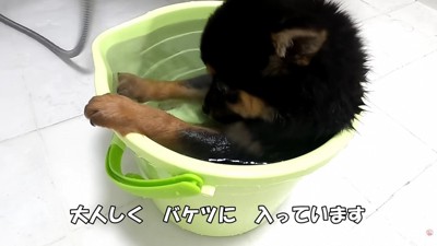 人間を信じられない…