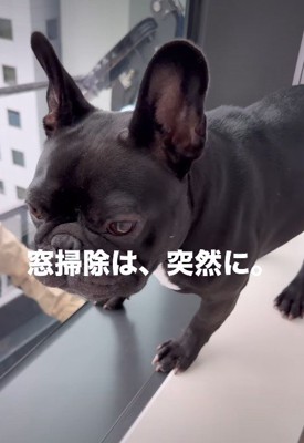 窓掃除が始まったら…