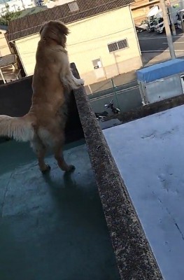 健気な姿にホッコリ