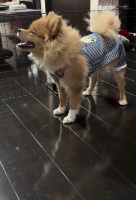 洋服を新調してもらった