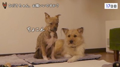 ちょっとずつ縮まる距離