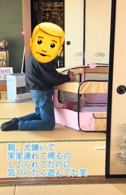 お父さんを見つめるキャシーちゃん