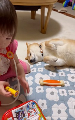 娘さんとすずちゃん