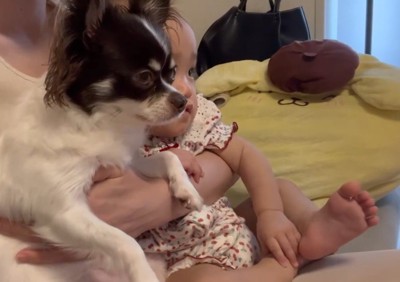 わんこと赤ちゃん♡