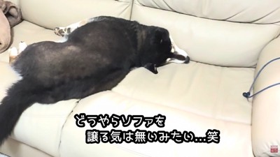 「座らせないぞ！」と首をピーン