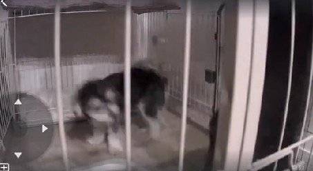 酔っぱらって帰宅したら…