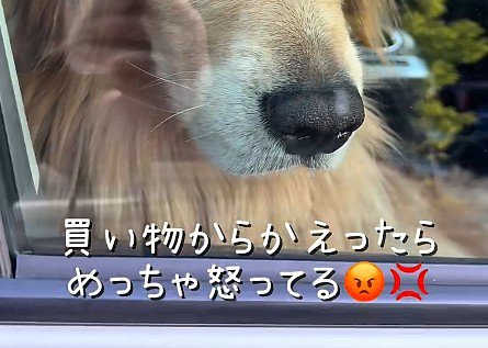 車に戻ってみたら…