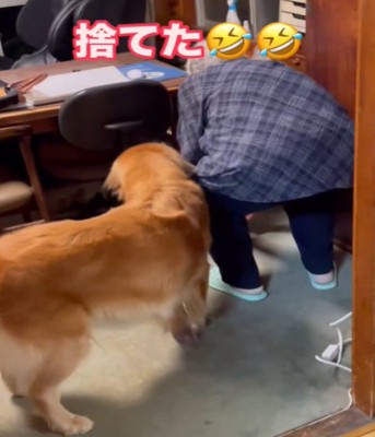 ポーチを拾うおばあちゃん