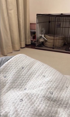 ハウスを失敗するさくらちゃん5