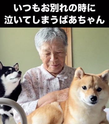 人と2匹の犬