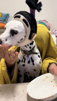 完食して満足げな犬